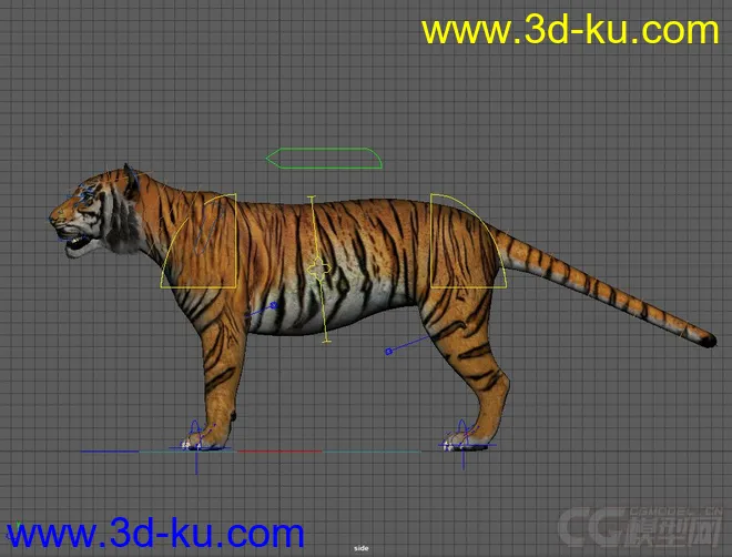 Tiger rig full controls full textures模型的图片5