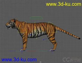 3D打印模型Tiger rig full controls full textures的图片