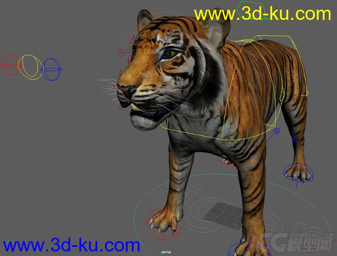 Tiger rig full controls full textures模型的图片6