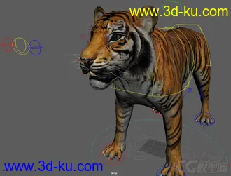 3D打印模型Tiger rig full controls full textures的图片