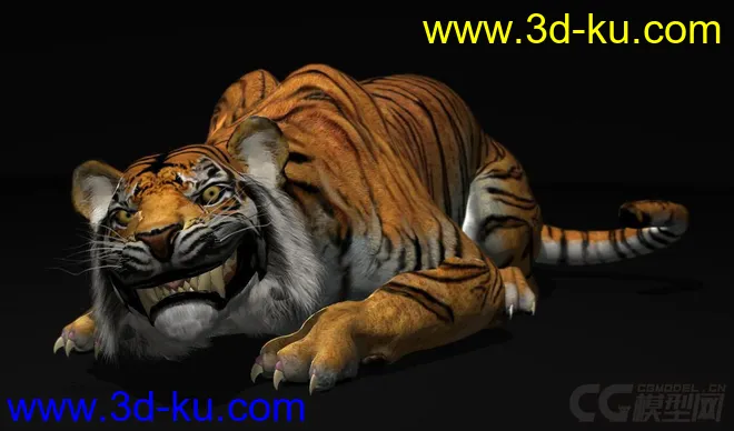 Tiger rig full controls full textures模型的图片7