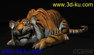 3D打印模型Tiger rig full controls full textures的图片