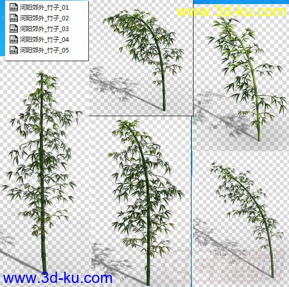 收集的高精度竹子模型 Q版 写实的图片4