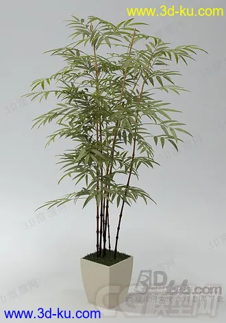 3D打印模型花瓶，植物，花草，花盆，盆栽，装饰品，小摆件，小品的图片