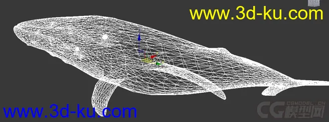 鲸鱼3D模型的图片2
