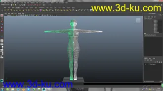 3D打印模型基础人体的图片