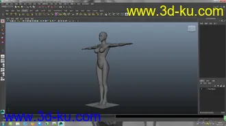 3D打印模型基础人体的图片