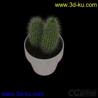 3D打印模型盆栽仙人掌的图片