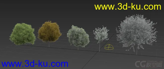 树木模型带透贴的图片1