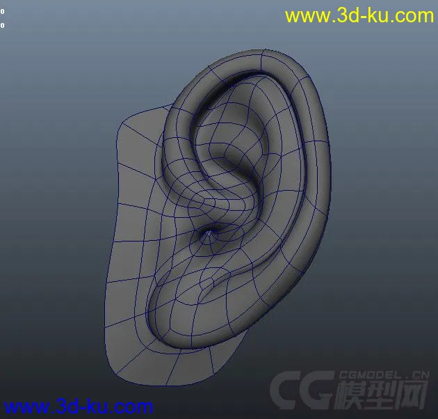人物耳朵模型的图片1