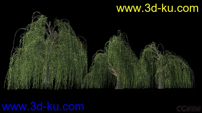 影视级植物，有贴图，maya2014模型的图片1
