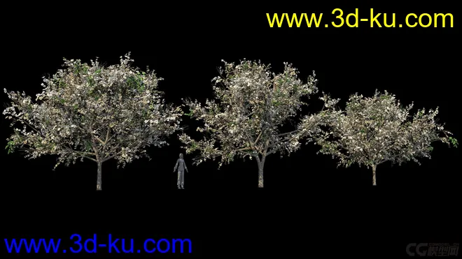 影视级植物，有贴图，maya2014模型的图片3