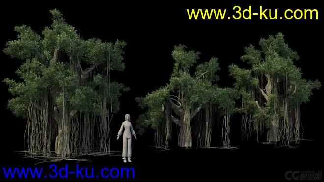 影视级植物，有贴图，maya2014模型的图片5