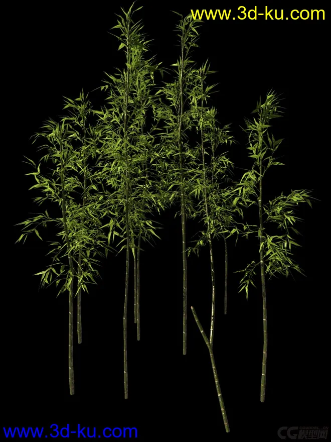 影视级植物，有贴图，maya2014模型的图片7