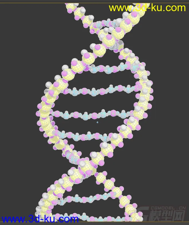 dna模型 基因的图片2