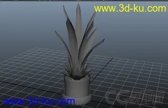 3D打印模型一盆练手植物花草的图片