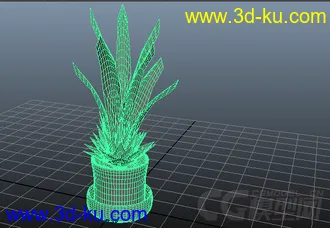 3D打印模型一盆练手植物花草的图片