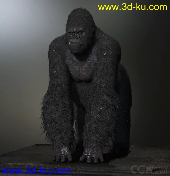 King Kong，金刚猩猩模型，fbx格式的图片1