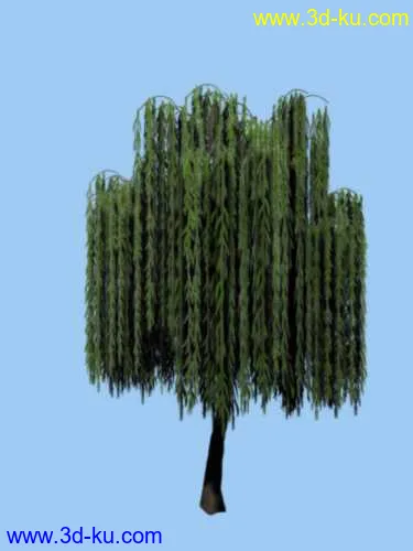 风吹柳树模型的图片2