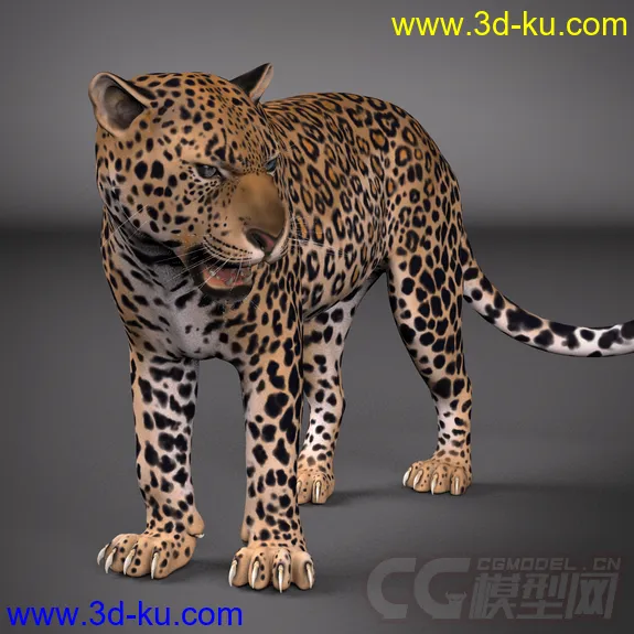 影视级绑定；豹，不一样的美洲豹，猎豹；贴图纹理都在4000点以上，模型细致，的图片2