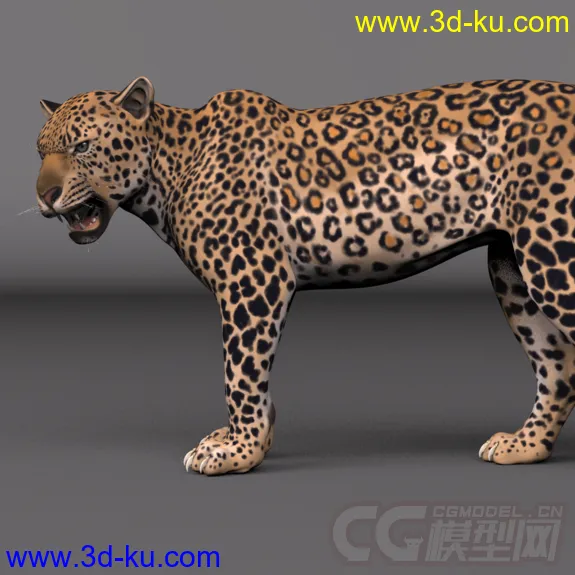 影视级绑定；豹，不一样的美洲豹，猎豹；贴图纹理都在4000点以上，模型细致，的图片3