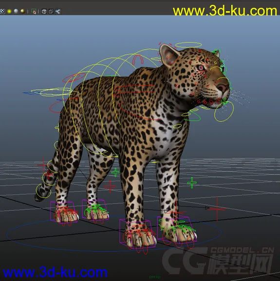 影视级绑定；豹，不一样的美洲豹，猎豹；贴图纹理都在4000点以上，模型细致，的图片5