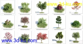 3D打印模型Archmodels.Vol.154 植物灌木花草的图片