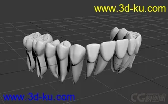 3D打印模型一副带牙根的牙齿的图片