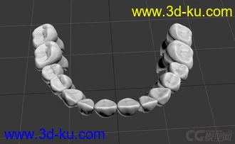 3D打印模型一副带牙根的牙齿的图片