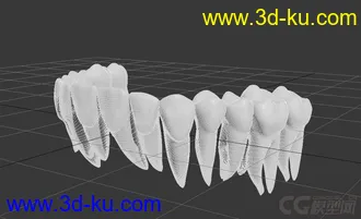 3D打印模型一副带牙根的牙齿的图片