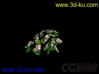 3D打印模型花草的图片