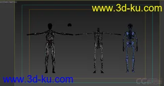 3D打印模型X光 人体骨骼 骷髅的图片