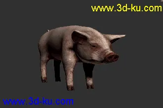 3D打印模型猪-带动画的图片