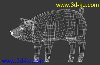 3D打印模型猪-带动画的图片