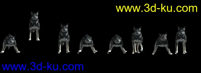 狗-狼狗-犬-附带29种动画模型的图片1