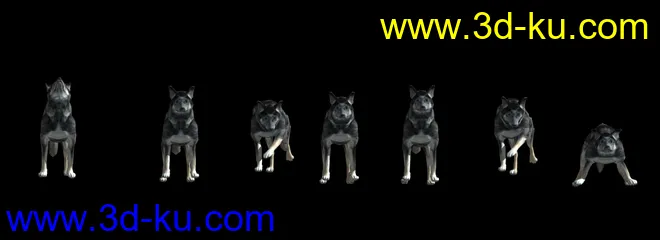 狗-狼狗-犬-附带29种动画模型的图片3
