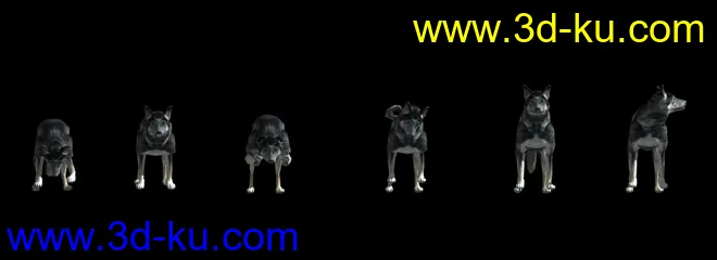 狗-狼狗-犬-附带29种动画模型的图片5