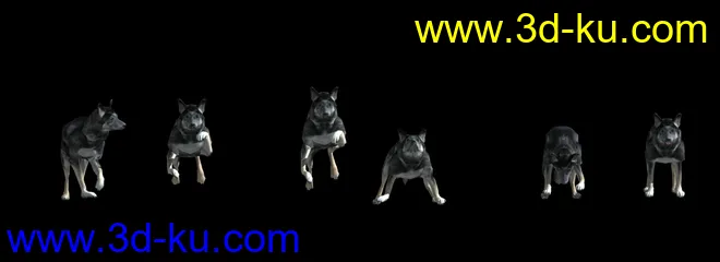 狗-狼狗-犬-附带29种动画模型的图片6