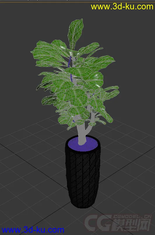 盆栽，高精，写实模型的图片2