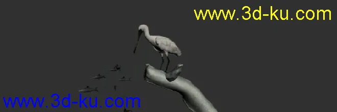 白鹭吃鱼（有动画）-鸟模型的图片8