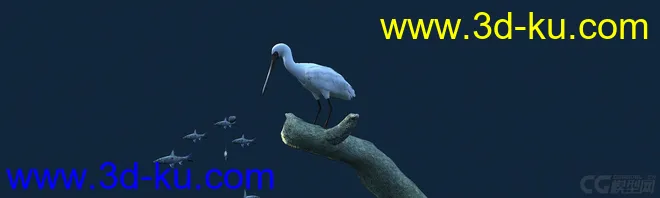 白鹭吃鱼（有动画）-鸟模型的图片1