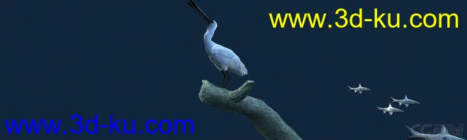 白鹭吃鱼（有动画）-鸟模型的图片7