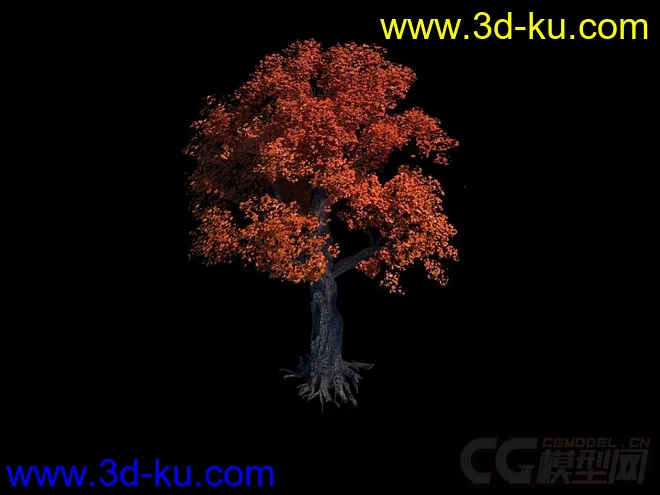 红树模型的图片2