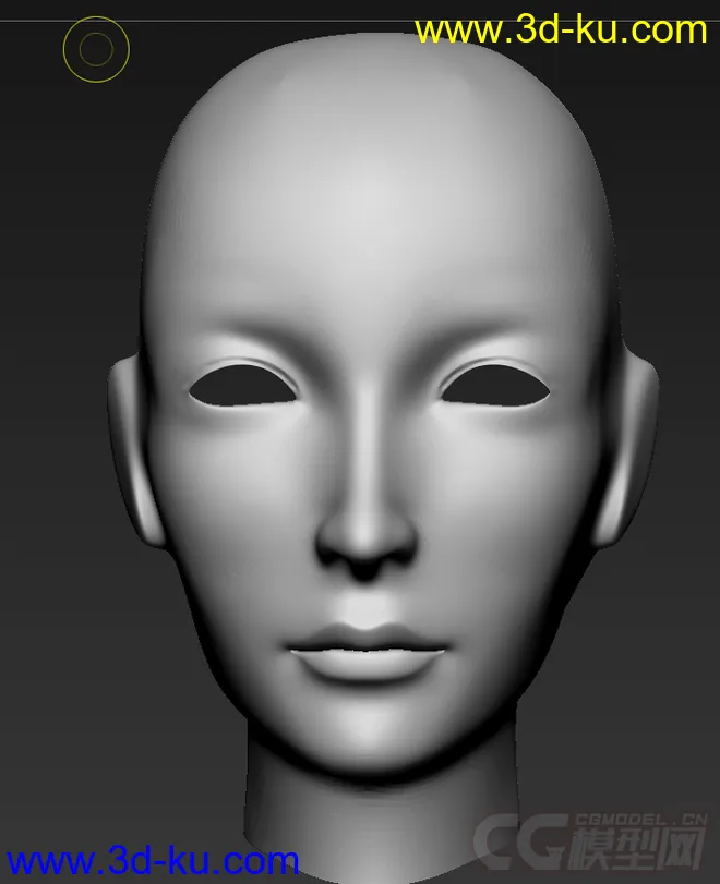 人体头像模型的图片2