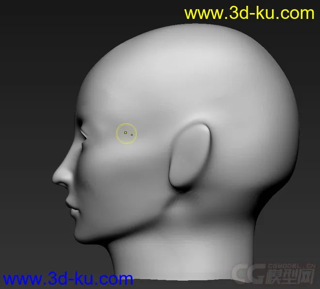 人体头像模型的图片3