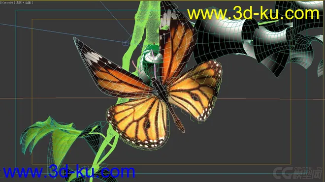 超精致蝴蝶破茧动画模型的图片2