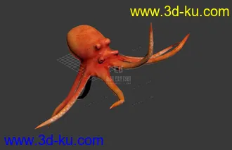 3D打印模型章鱼 Octopus的图片