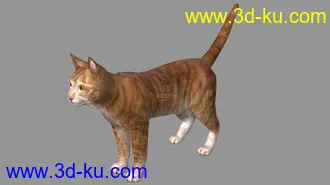 3D打印模型猫咪的图片