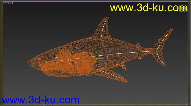 大白鲨 鲨鱼 有绑定有动画 鳃部能动 免费送你了模型的图片6