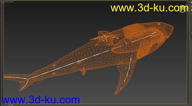 大白鲨 鲨鱼 有绑定有动画 鳃部能动 免费送你了模型的图片7